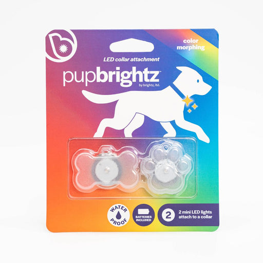 Pup Brightz - Safari Ltd®