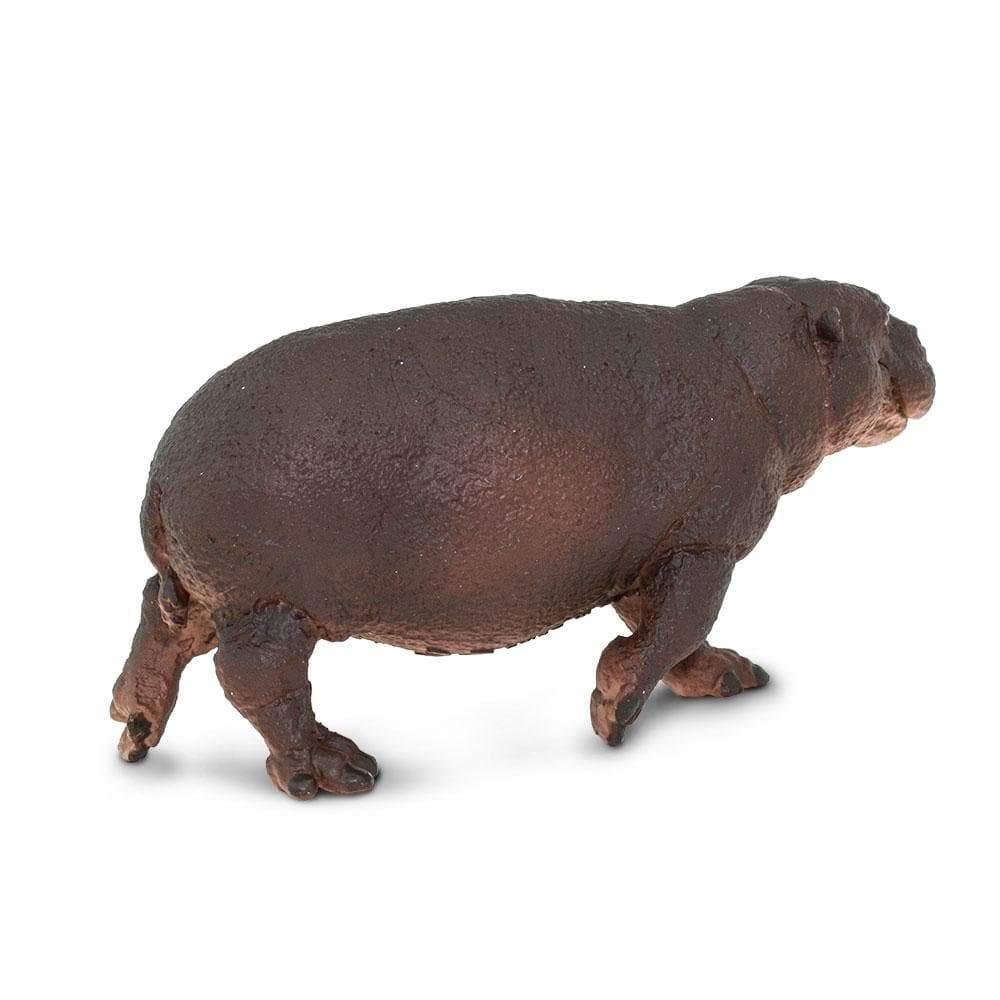 Pygmy Hippo Toy | Wildlife Animal Toys | Safari Ltd®