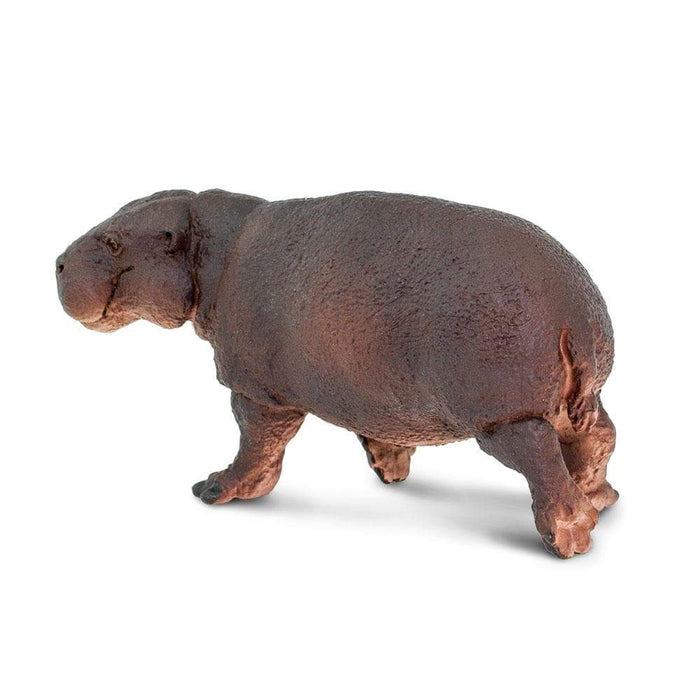 Pygmy Hippo Toy | Wildlife Animal Toys | Safari Ltd.