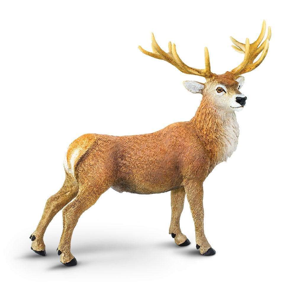 Red Deer Stag Toy Wildlife Animal Toys Safari Ltd