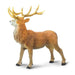 Red Deer Stag Toy | Wildlife Animal Toys | Safari Ltd.