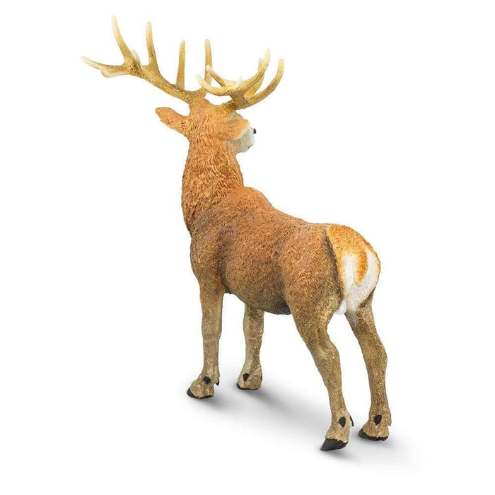 Red Deer Stag Toy | Wildlife Animal Toys | Safari Ltd.