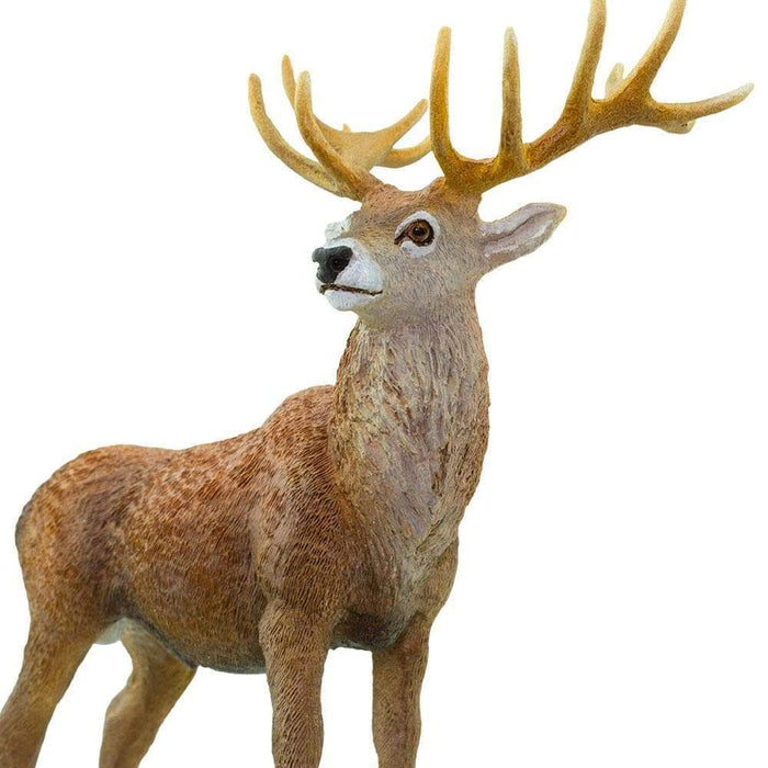 Baby r us red deer 2025
