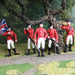 Revolutionary War British Army TOOB® - Safari Ltd®