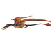 Rhamphorhynchus Toy | Dinosaur Toys | Safari Ltd.