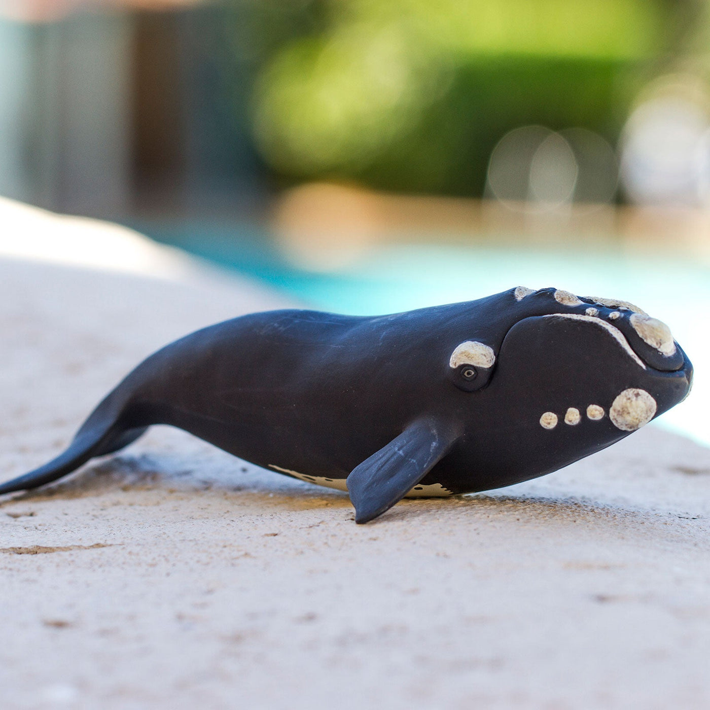 Right Whale Toy Sea Life Toys Safari Ltd®