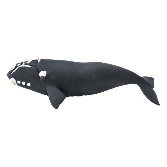 Right Whale Toy - Safari Ltd®