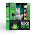 Rock Pets: Frog - Safari Ltd®
