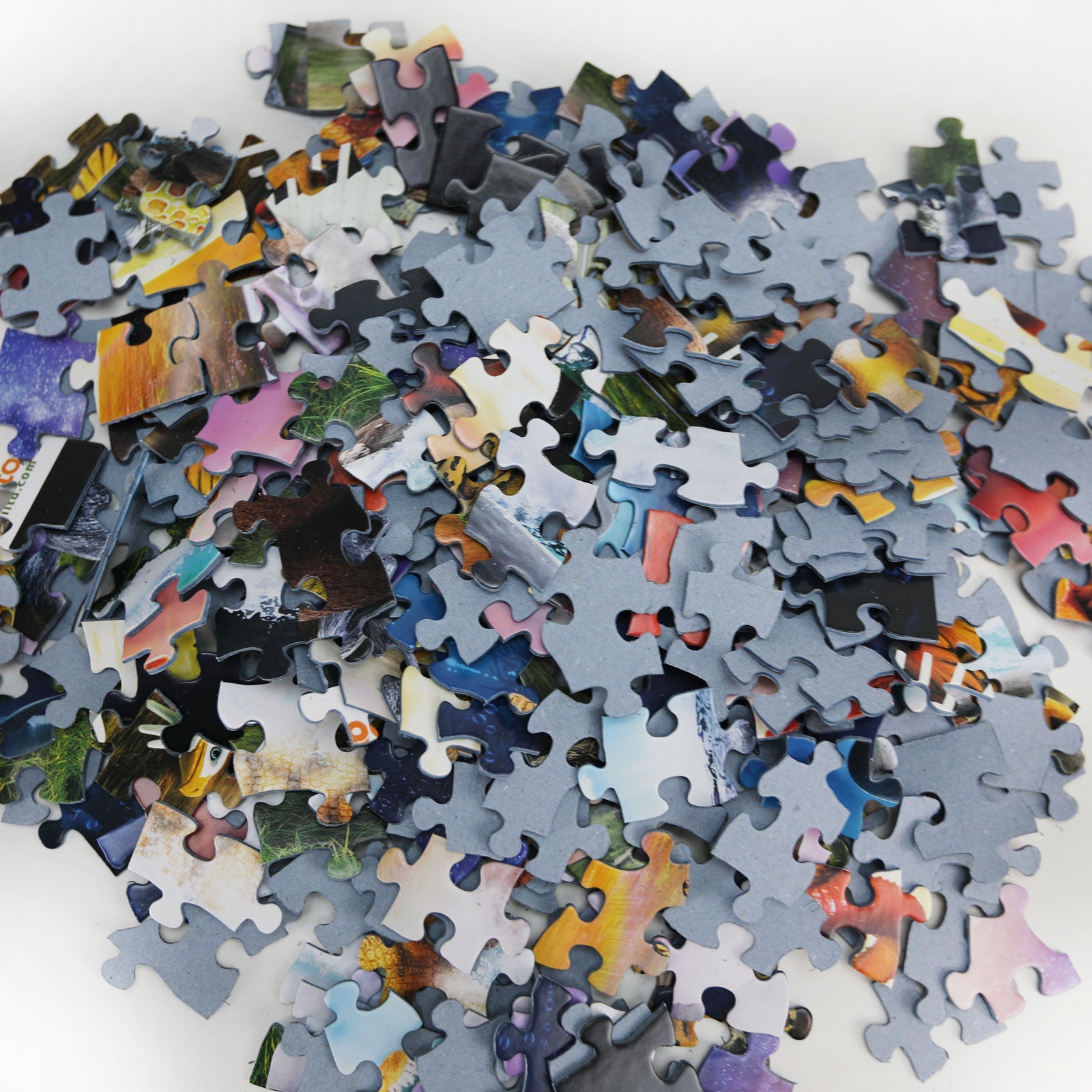 Safari Ltd 300 pc 18 x 24