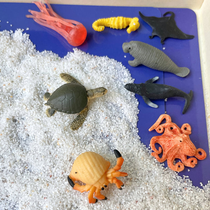  Boxed Set & Marine Life Refill Gift Set Bundle : Toys