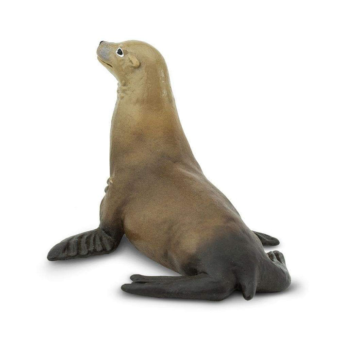 Sea Lion Toy - Sea Life Toys by Safari Ltd.