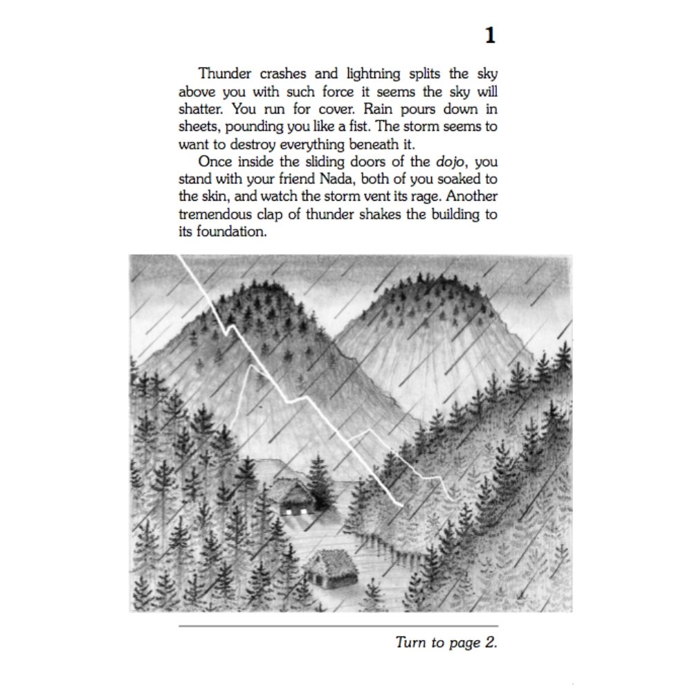 Secret of the Ninja Book | Safari Ltd®