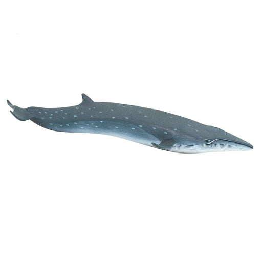 Sei Whale Toy - Safari Ltd®