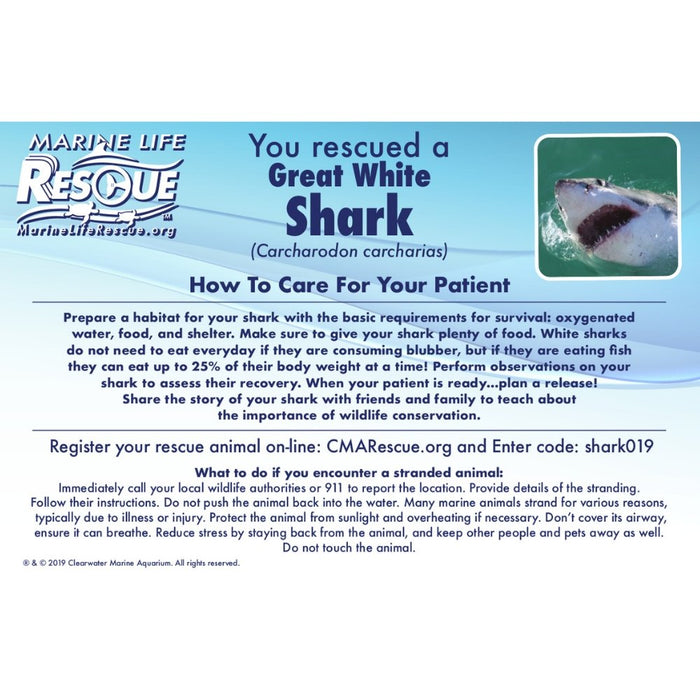 Shark In Rescue Stretcher - Safari Ltd®
