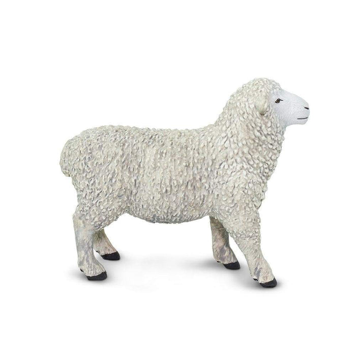 Sheep - Safari Ltd®