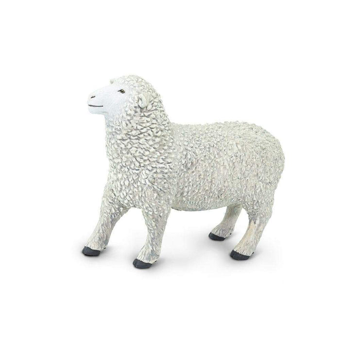 Sheep - Safari Ltd®
