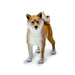 Shiba Inu Toy Dog Figure - Safari Ltd®