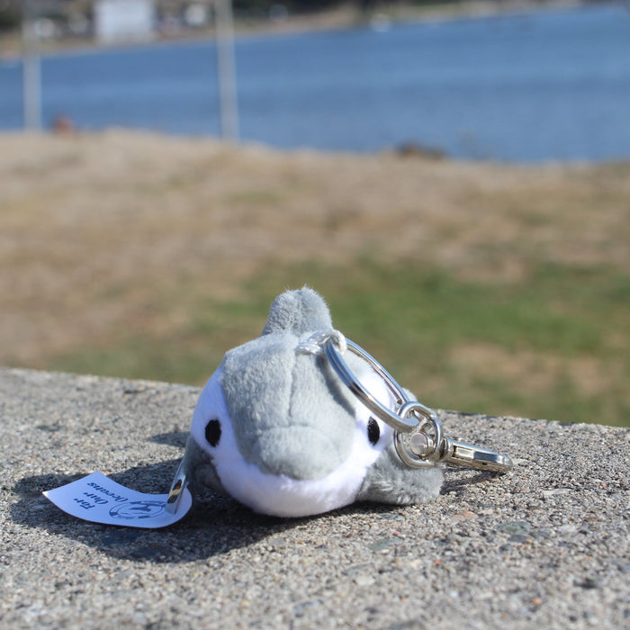 Shore Buddies Finn the Dolphin Keychain - Safari Ltd®