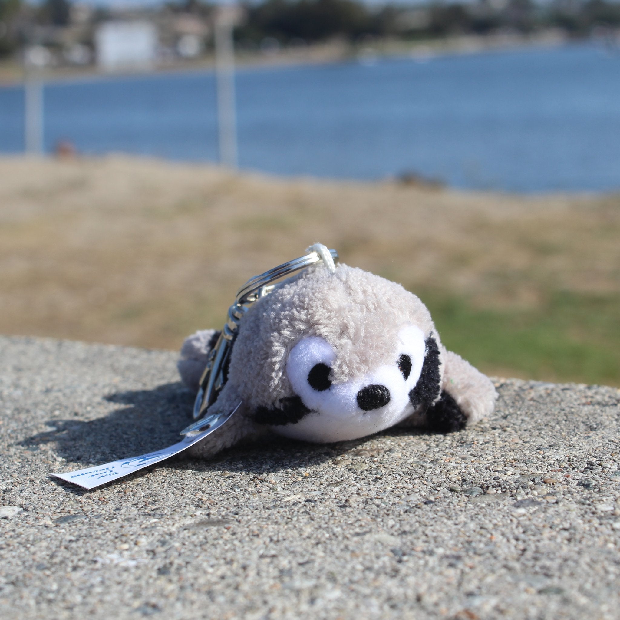 サブリー マスコット スモア Shore Buddies Sammy the Seal Plush Keychain | Safari Ltd®