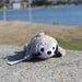 Shore Buddies Sammy the Seal Keychain - Safari Ltd®