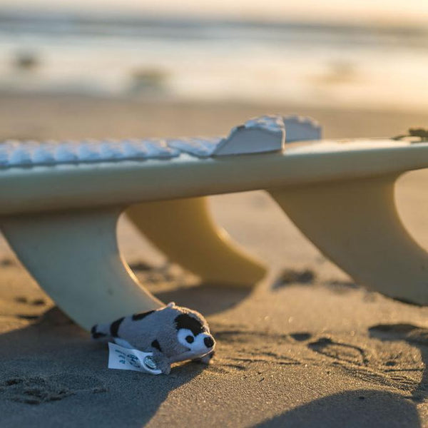 Shore Buddies Sammy the Seal Plush Keychain | Safari Ltd®