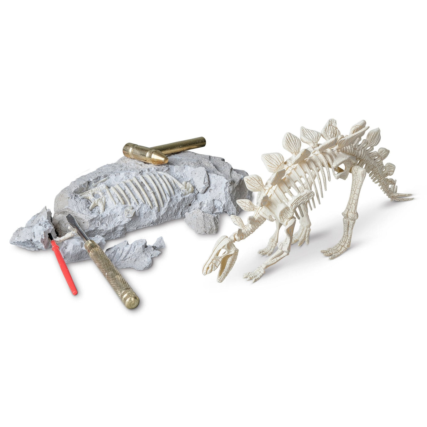 Stegosaurus Paleontology Kit Safari Ltd®