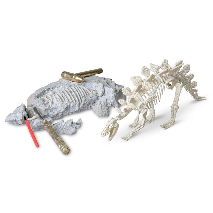 Stegosaurus Paleontology Kit - Safari Ltd®