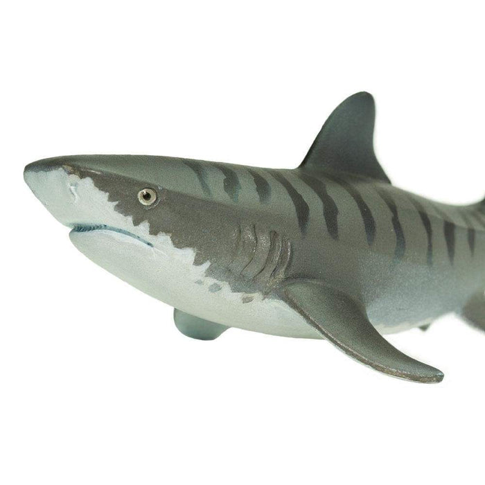 Tiger Shark Toy - Sea Life Toys by Safari Ltd.