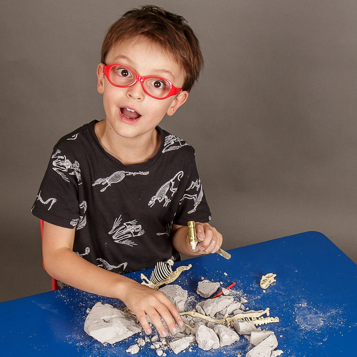 Triceratops Paleontology Kit Safari Ltd®