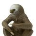 Two-Toed Sloth Toy | Wildlife Animal Toys | Safari Ltd.