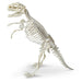 Tyrannosaurus Paleontology Kit - Safari Ltd®