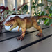 Tyrannosaurus Rex Toy - Safari Ltd®
