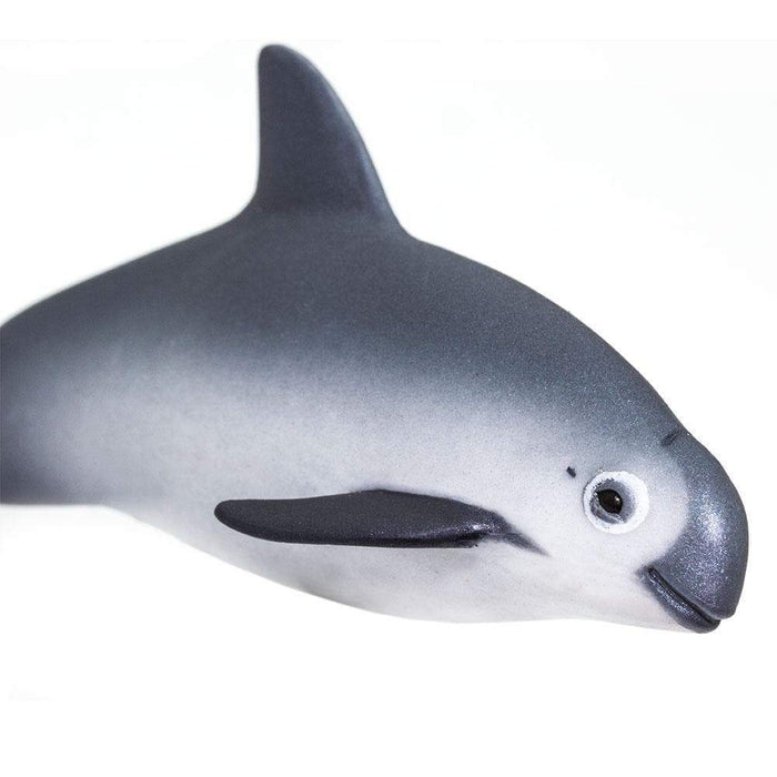 Vaquita Porpoise Toy - Sea Life Toys by Safari Ltd.