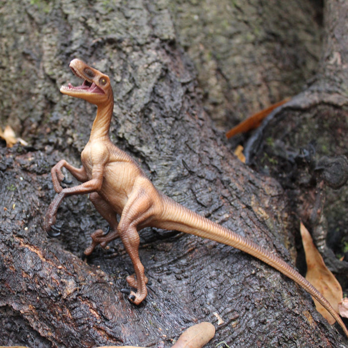 Velociraptor Toy - Safari Ltd®