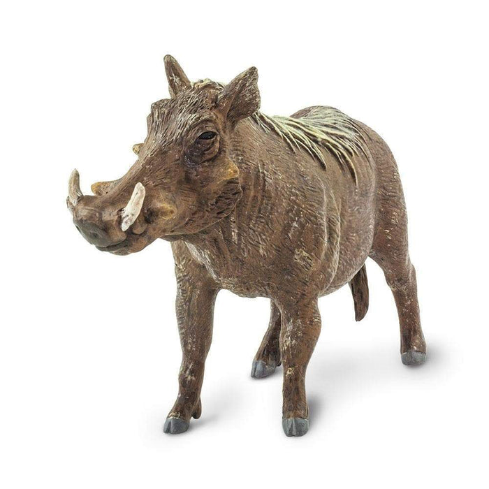 Warthog Toy - Safari Ltd®