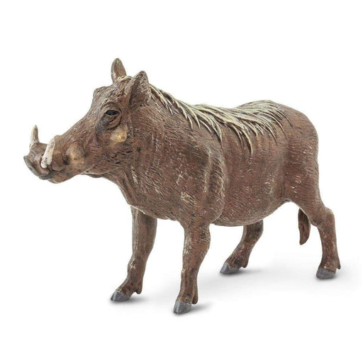 Warthog Toy - Safari Ltd®