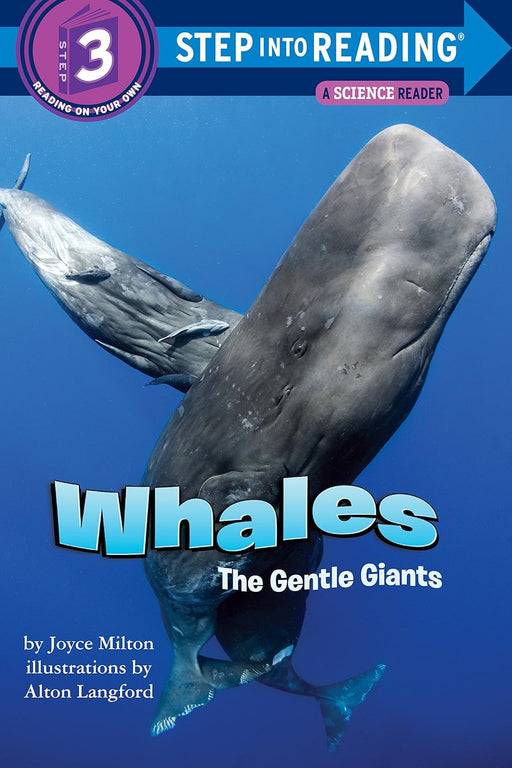 Whales: The Gentle Giants - Safari Ltd®