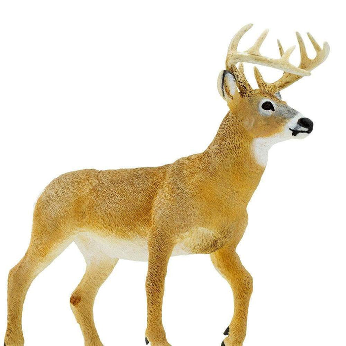 Whitetail Buck Toy | Wildlife Animal Toys | Safari Ltd.