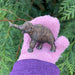Woolly Mammoth Baby Toy - Safari Ltd®